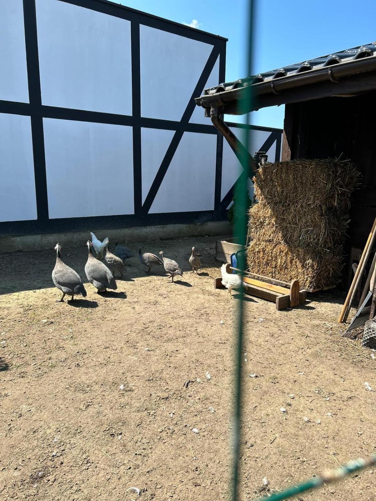 Pokoje Goscinne Nad Morzem ボボリン エクステリア 写真